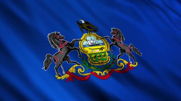 Pennsylvania state flagga — Stockvideo