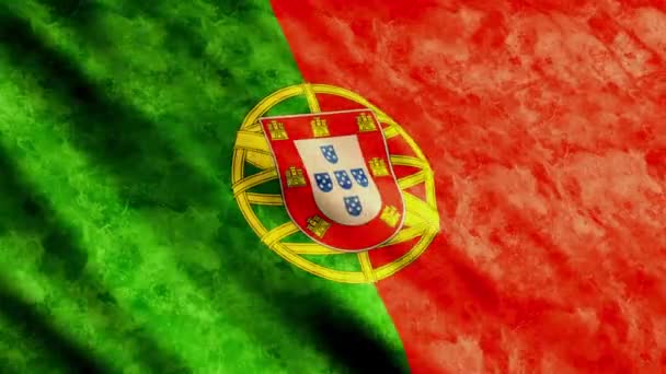 Vlag van Portugal — Stockvideo