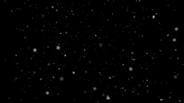 Chute réaliste de neige 