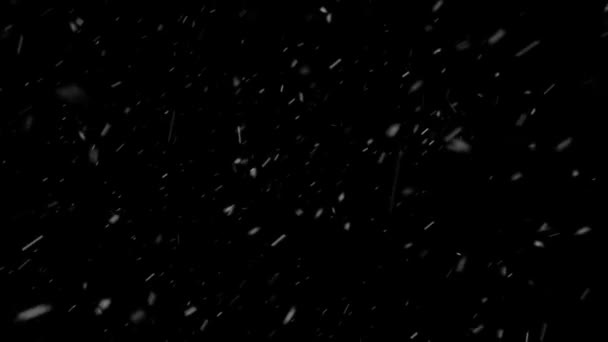 Realistické sněžení — Stock video