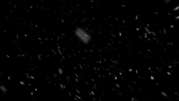 Realistické sněžení — Stock video