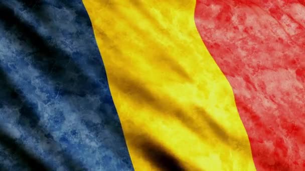 罗马尼亚国旗 — 图库视频影像