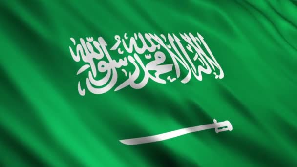 Bandera de Arabia Saudita — Vídeo de stock