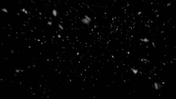 Snöfall — Stockvideo