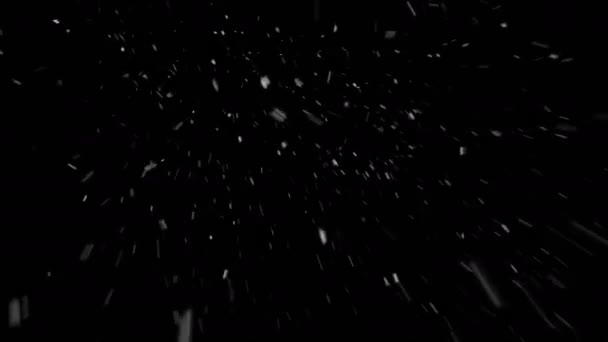 Schneefall — Stockvideo