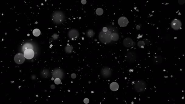 Χιόνι πέφτει και ελαφρύ Bokeh — Αρχείο Βίντεο