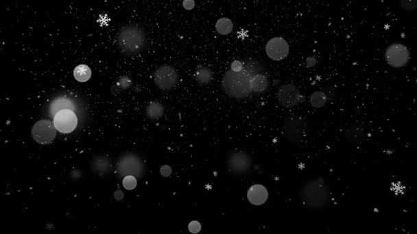 Снегопад и легкий Боке — стоковое видео