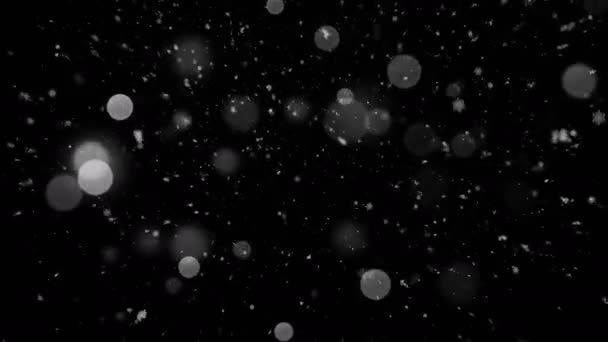 Снегопад и легкий Боке — стоковое видео