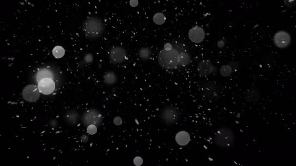 Sneeuwval en Lichte Bokeh — Stockvideo