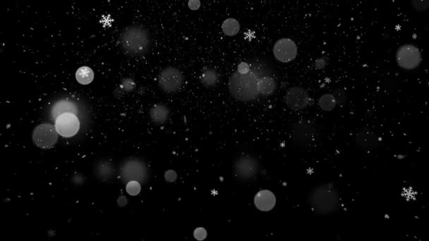 Schneefall und leichtes Bokeh — Stockvideo