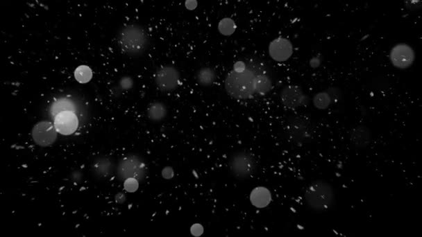 Schneefall und leichtes Bokeh — Stockvideo