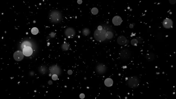 Chute de neige et lumière Bokeh — Video