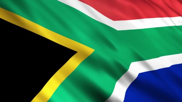 Güney Afrika Cumhuriyeti bayrağı — Stok video