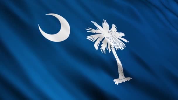 South carolina state flagga — Stockvideo