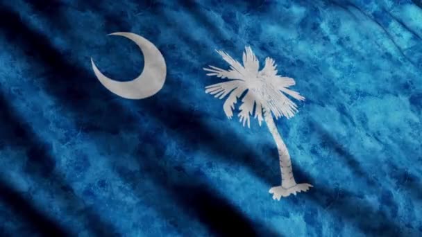 South Carolina State Flagge — Stockvideo