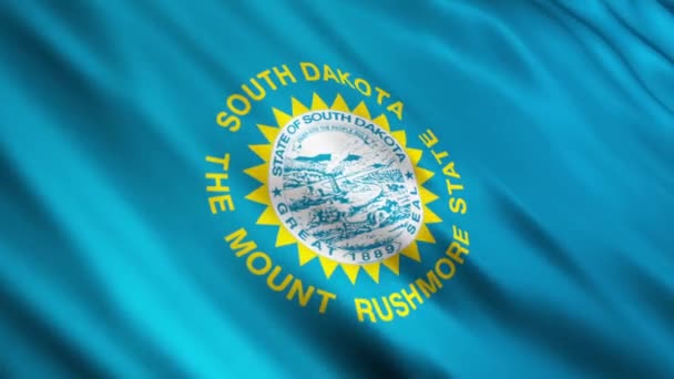 Vlag van South dakota — Stockvideo