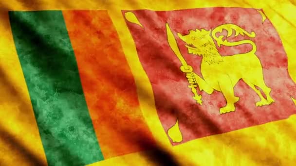 Vlag van Sri lanka — Stockvideo