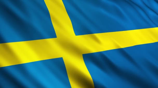 Sverige flagga — Stockvideo