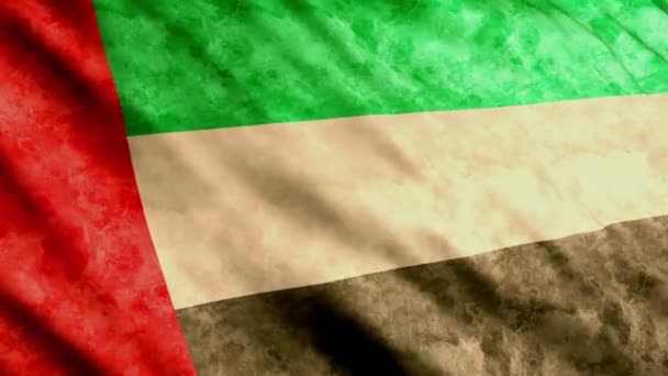 United Arab Emirates flag — Stock Video