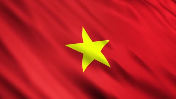 Vlag van Vietnam — Stockvideo