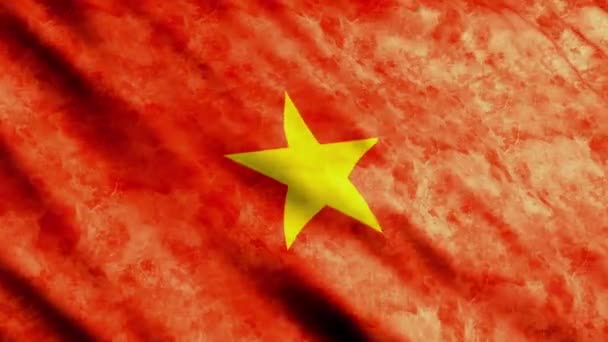 Vietnam flag — Stock Video