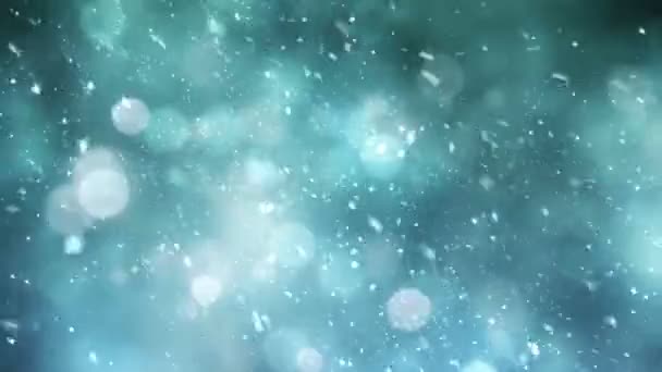 Winter sneeuwstorm — Stockvideo