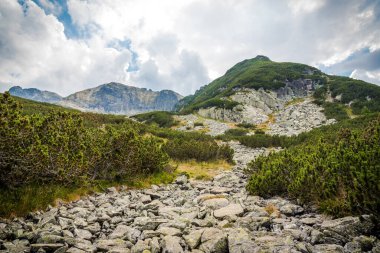 Güneşli bir yaz gününde güzel bir dağ manzarası. Rila Dağı, Bulgaristan. Yürüyüş / yürüyüş kavramı.