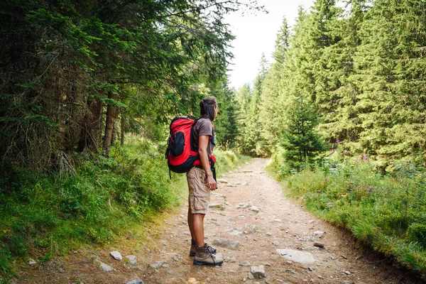 Caminhante Numa Estrada Florestal Conceito Pessoas Ativas Trekking Conceito Exploração — Fotografia de Stock