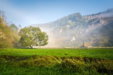 Karpat Dağları 'ndaki Idyllic manzarası. Güzel bir dağ ve büyük bir ağaç ve saman balyasıyla çimenli bir alan. Doğal arkaplan.