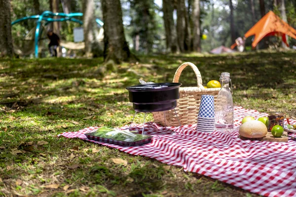 picnic organic and healthy food in spring, in nature