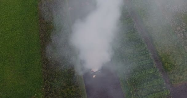 Flygfoto över bonde nära stora lägerelden på ett fält efter skörd — Stockvideo