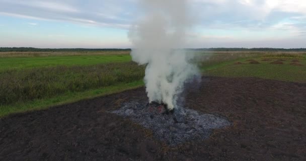 Images aériennes de grandes fumées de feu de joie s'élevant jusqu'au ciel du soir dans les champs agricoles 