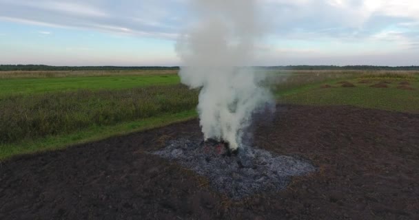 Aerial footage of large bonfire smoke rising up to evening sky in farmers fields — Stock Video