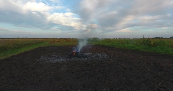Ujęcia duże ognisko dymu, rośnie do wieczorne niebo w polach rolników — Wideo stockowe