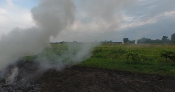 Aerial footage of large bonfire smoke rising up to evening sky in farmers fields — Stock Video