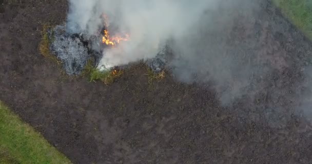 農家圃場で大規模なたき火の煙に上がって夕方の空の空中映像 — ストック動画