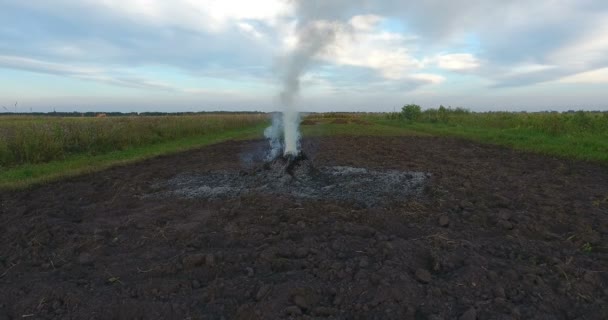 Воздушные кадры большого кострового дыма, поднимающегося до вечернего неба на фермерских полях — стоковое видео