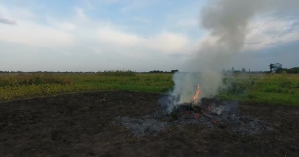 農家圃場で大規模なたき火の煙に上がって夕方の空の空中映像 — ストック動画