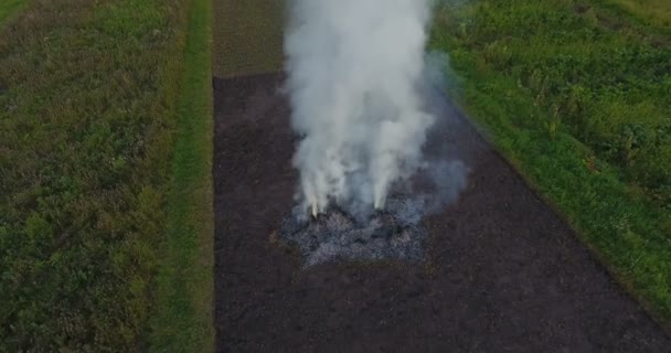 農家圃場で大規模なたき火の煙に上がって夕方の空の空中映像 — ストック動画