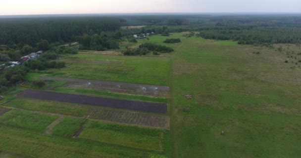 Flug aus der Luft über ein landwirtschaftliches Feld in einer ländlichen Gegend, Mitteleuropa — Stockvideo