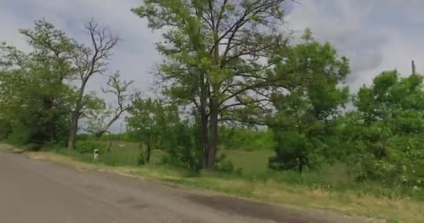 Uitzicht vanuit het raam van de auto aan de kant van de landweg met landbouwgronden — Stockvideo