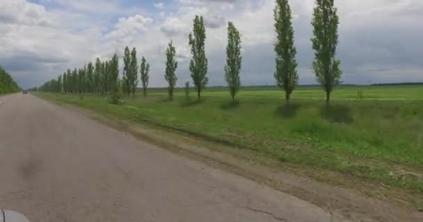 Utsikt från fönstret i bilen på åkrar och nivå popplar längs vägen — Stockvideo