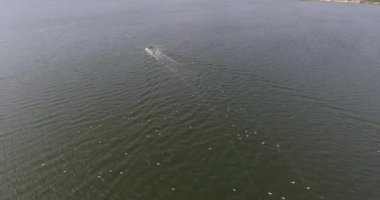Paketi aç martı ile Nehri'nin ortasında Motorlu tekne balıkçılık havadan görünümü