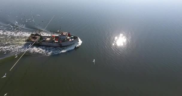 Vue aérienne du bateau à moteur de pêche au milieu de la rivière avec un pack de mouette affamée — Video