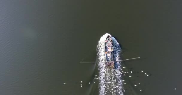 Aerial view of fishing motor boat in middle of river with pack of hungry seagull — Stock Video