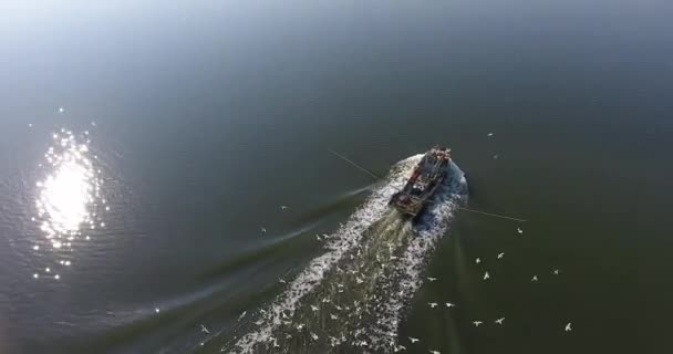 Aerial view of fishing motor boat in middle of river with pack of hungry seagull — Stock Video