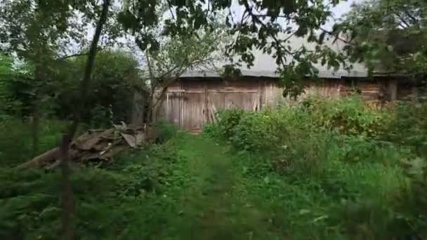 Caméra mobile à travers le jardin lumineux du matin à la porte de hangar à outils sombre à la ferme — Video