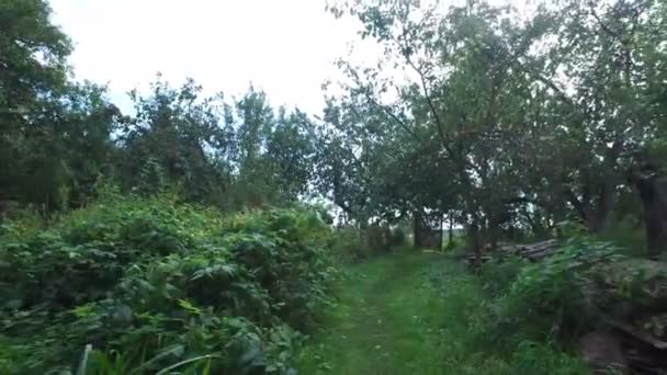Pohyb ze světlé zahrady do stodoly farma s ruční zahradní nářadí — Stock video