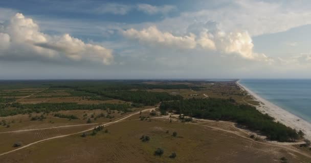 Vista aérea, Voo sobre a floresta e estrada de terra ao longo do litoral contra nuvens azuis — Vídeo de Stock