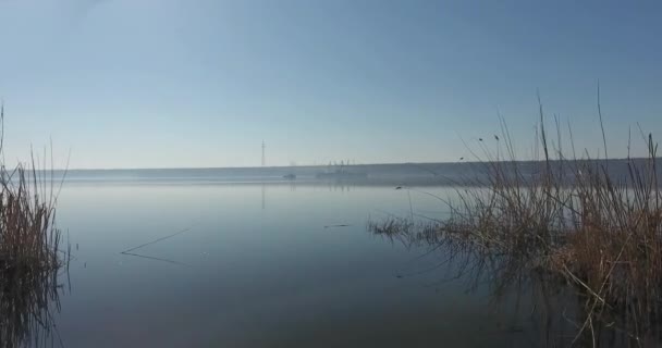 Vue de la rive de la rivière du matin à l'eau libre avec des navires en marche à distance — Video